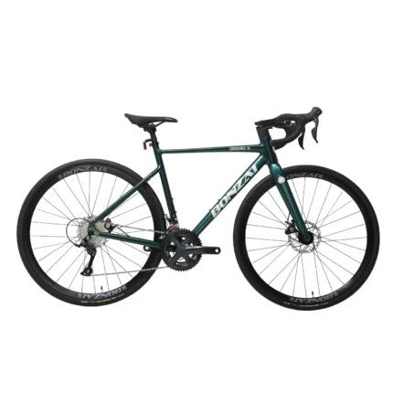 Bonzai Endurance18 Road Bike