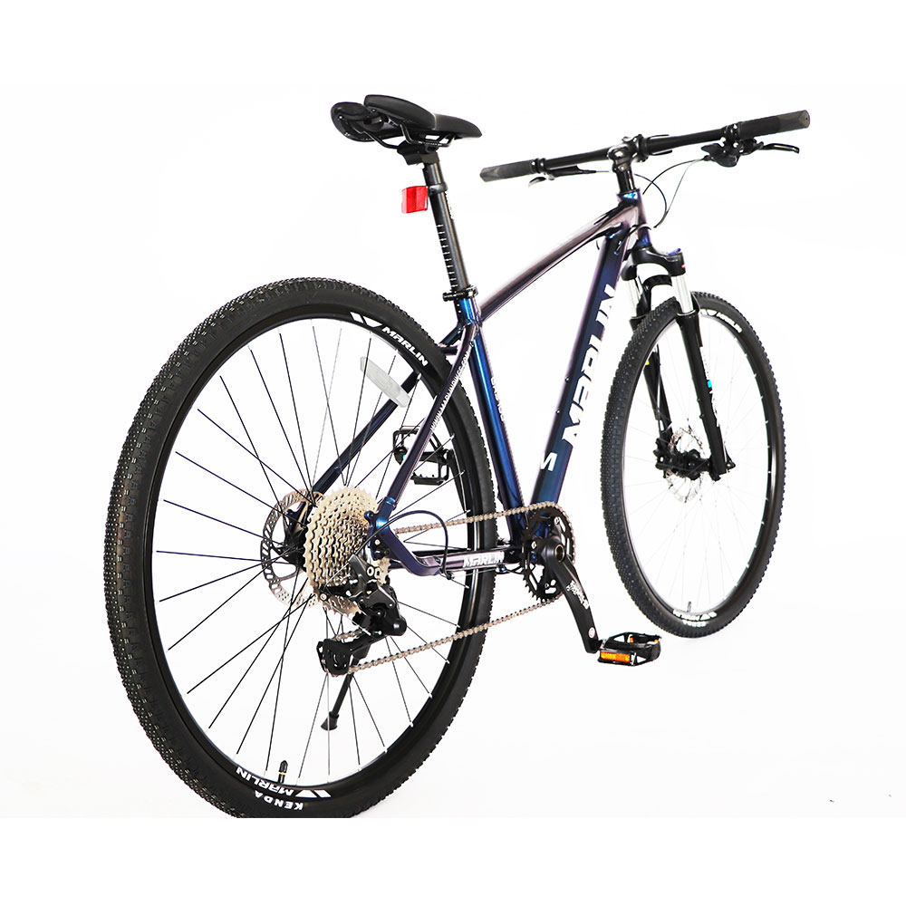 Marlin-GRS100-Chameleon-Hybrid-10